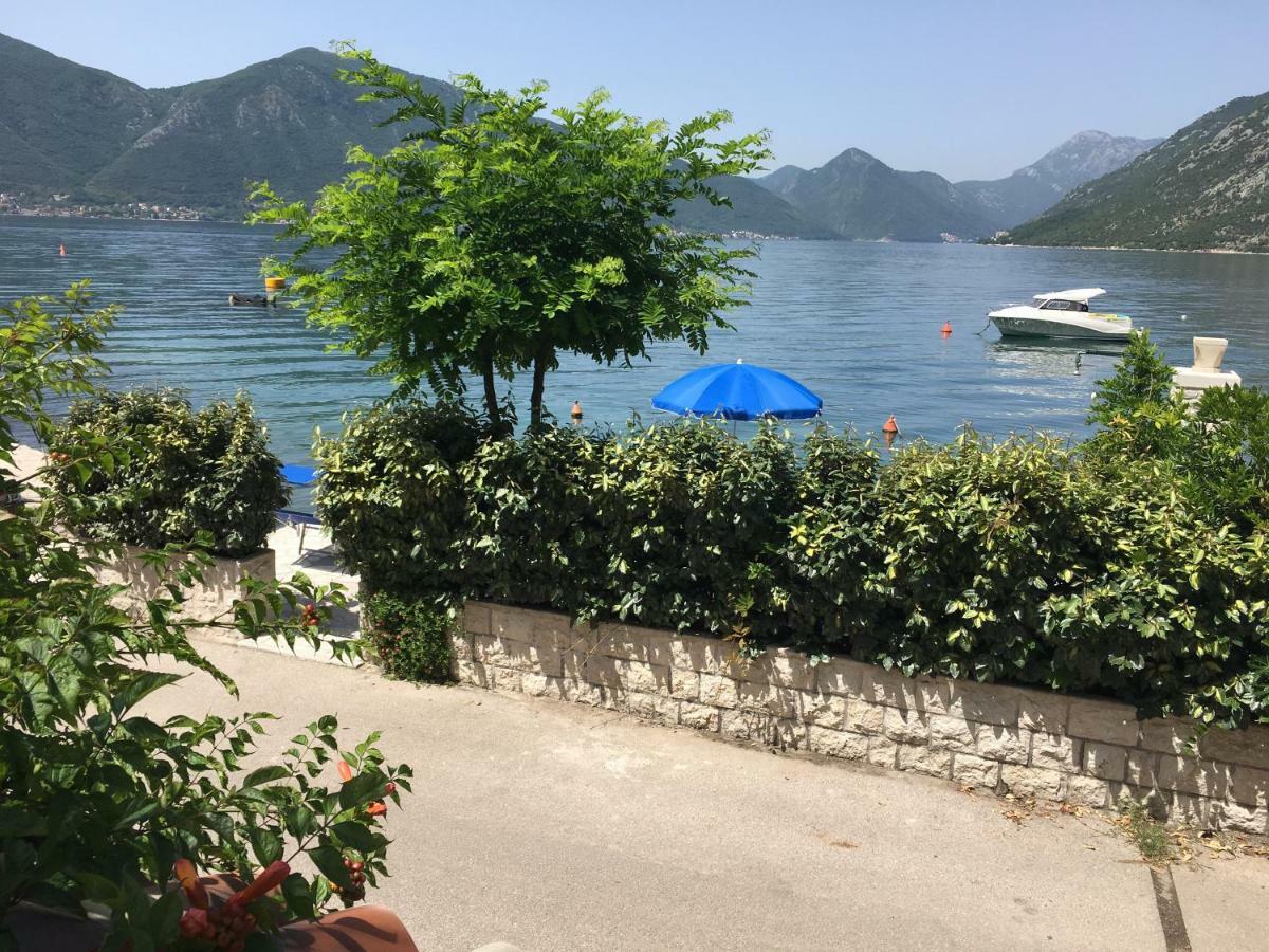 Ljuta No 11 * Kotor
