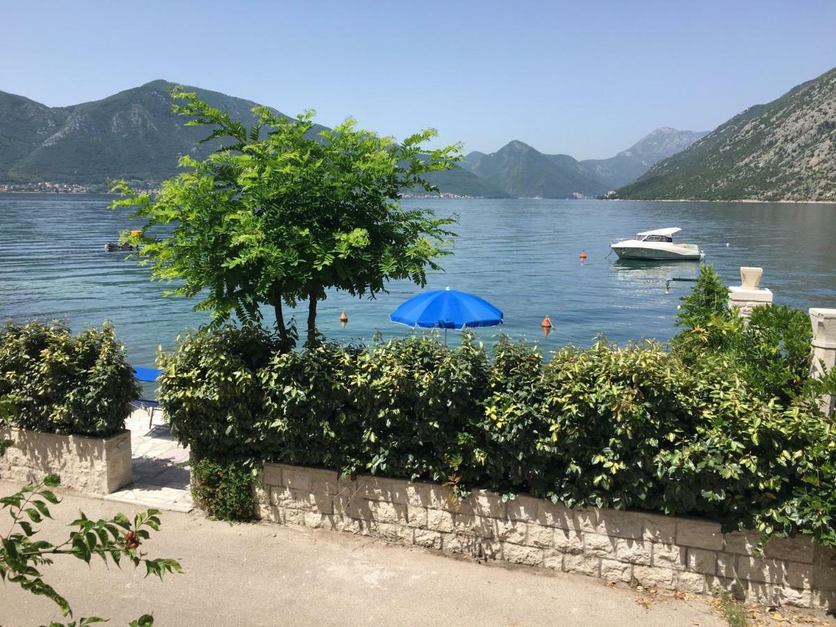 Ljuta No 11 * Kotor